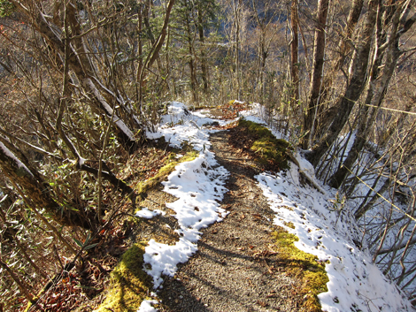 20191129hike (497)